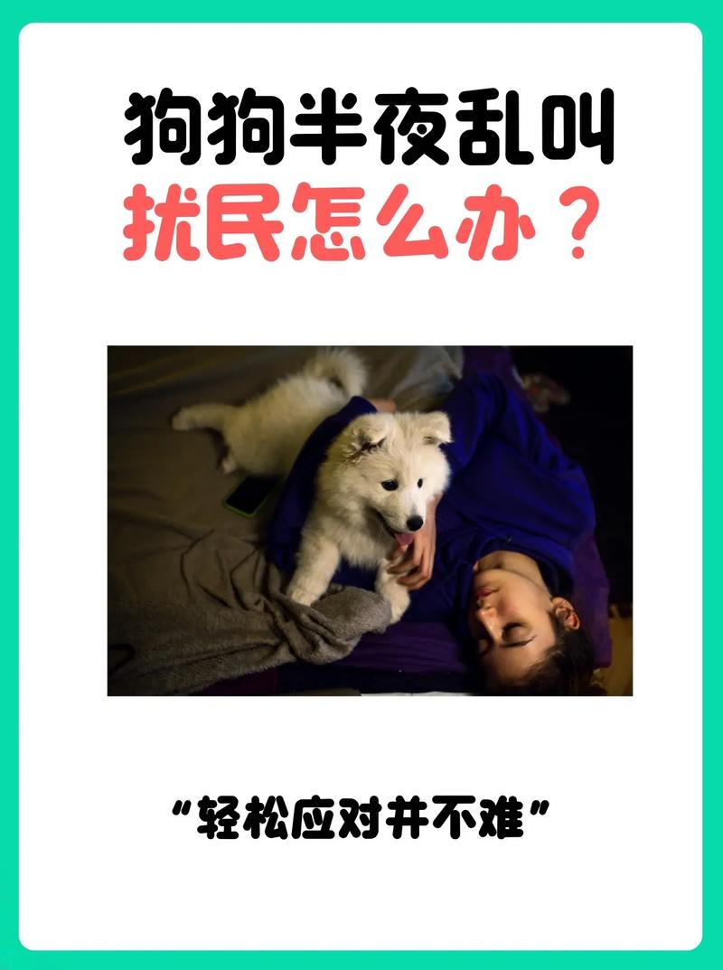 半夜狗叫个不停算扰民吗,可以举报吗