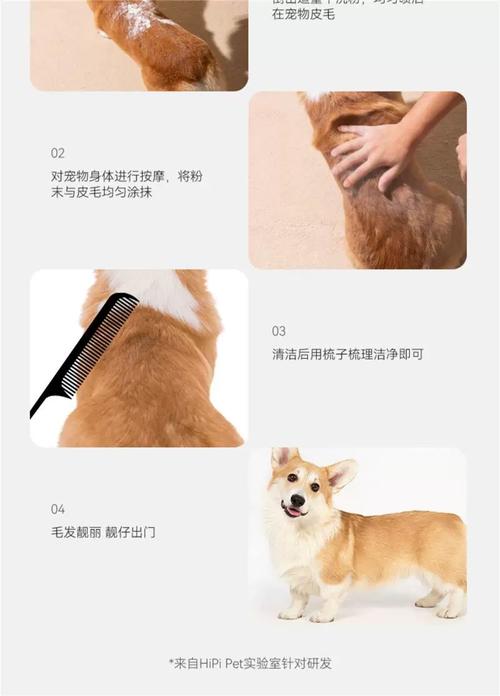 小狗干粉洗澡怎么洗