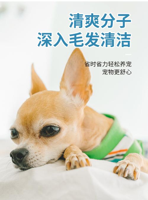 狗狗干洗粉怎么用