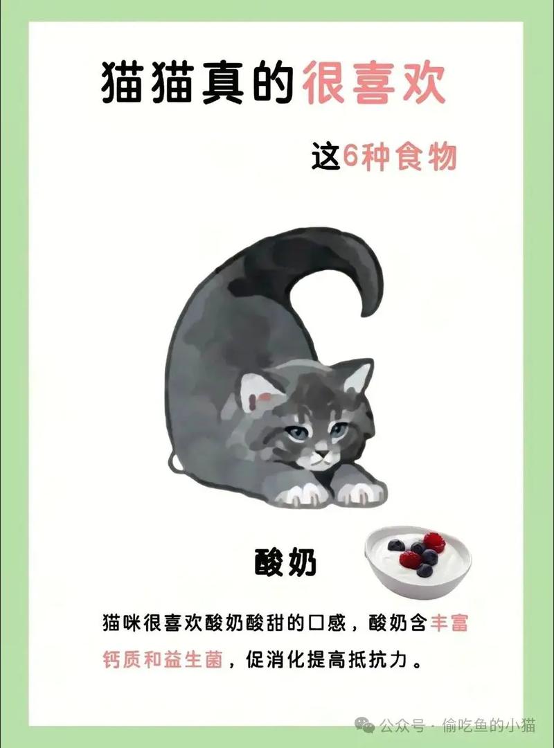猫咪最喜欢吃什么?这几种食物,才是它的最爱