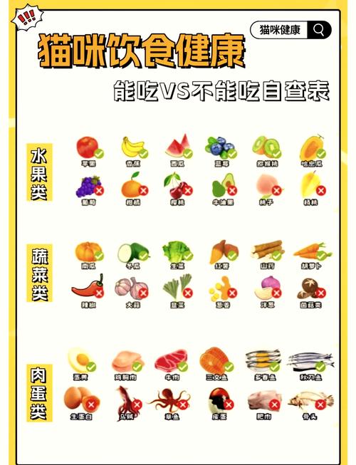 猫咪最喜欢吃的20种食物是什么