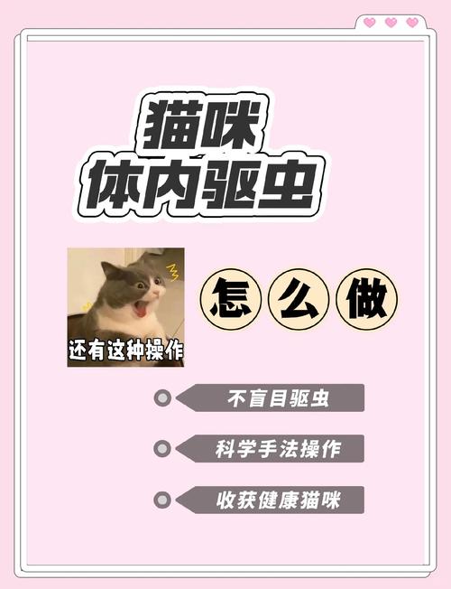 猫体内外驱虫怎么做