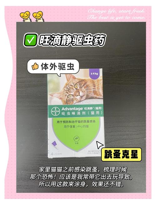 两个月的猫咪怎么驱虫
