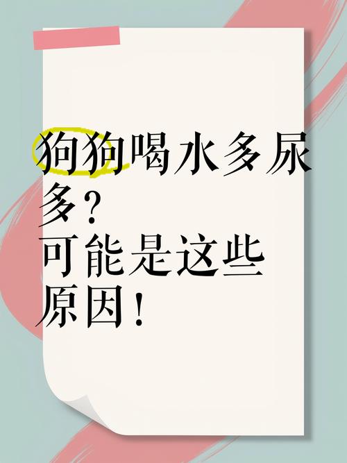 为什么我家狗狗老是喝水