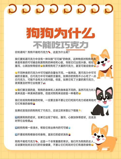 狗狗为什么不能吃巧克力