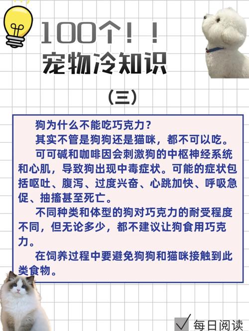 狗狗不能吃巧克力吗?