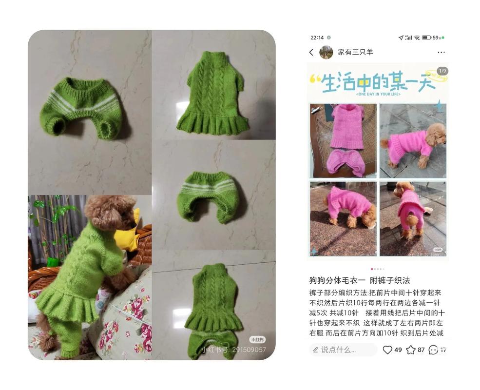 怎样织狗狗毛衣?