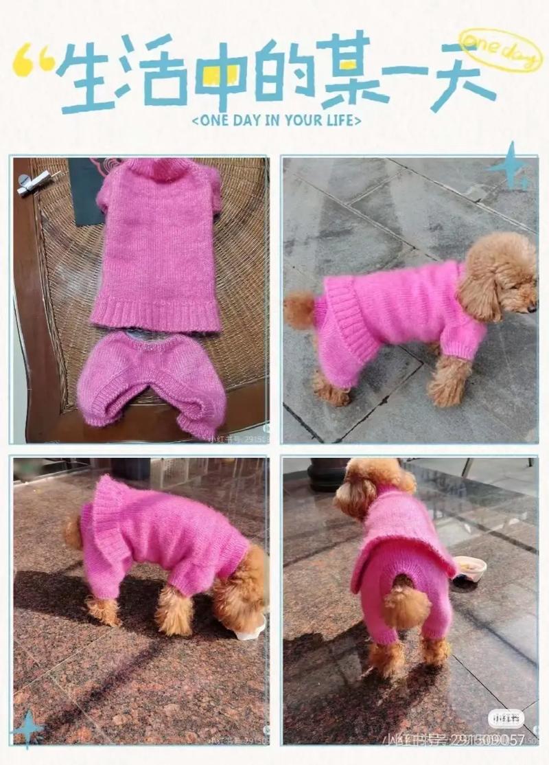 狗狗毛衣怎么织四脚