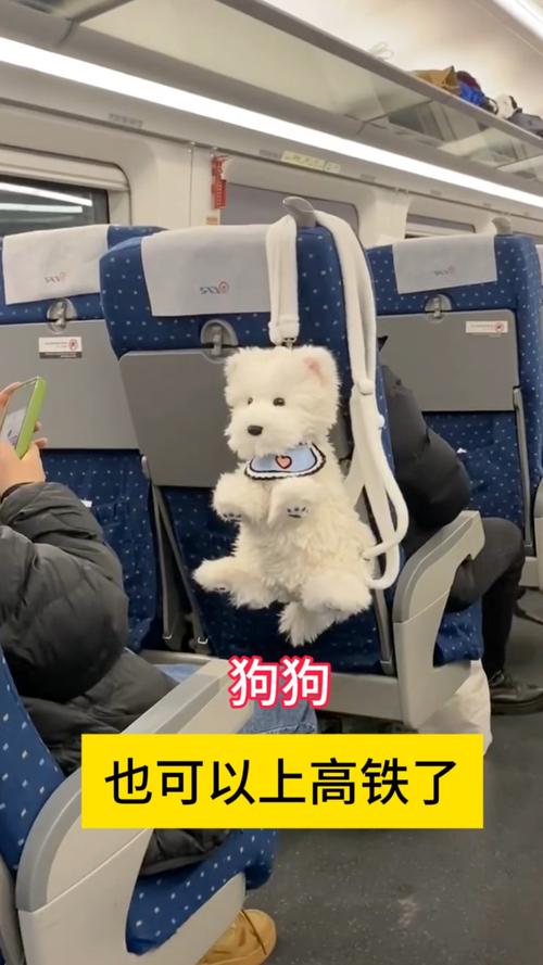 狗怎么上高铁