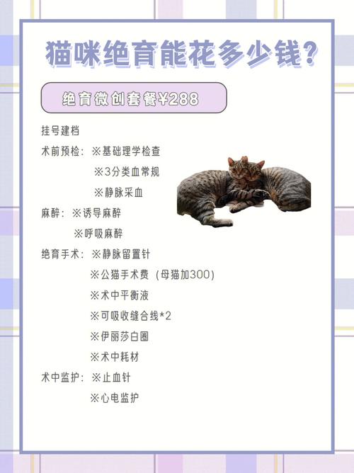 公猫绝育手术费用是多少啊?