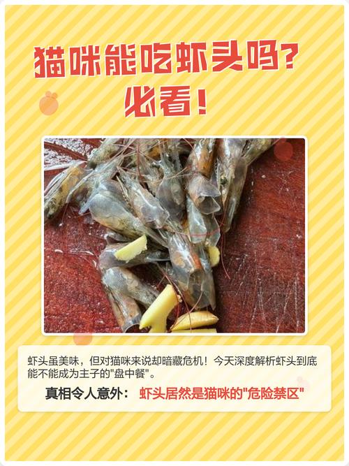 猫吃了煮熟的虾头怎么办