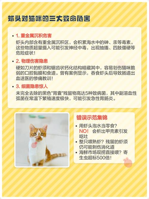 猫咪不小心吃了虾头怎么办有没有事?