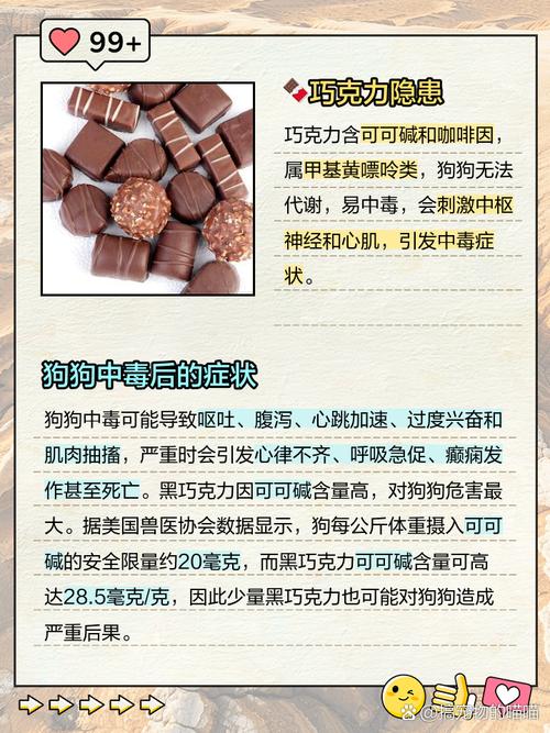 狗吃巧克力会怎么样?