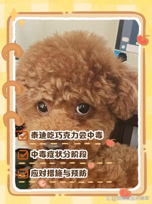 狗狗吃了巧克力的症状