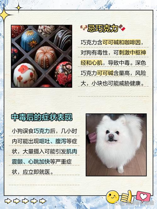 狗狗吃了巧克力多久发作