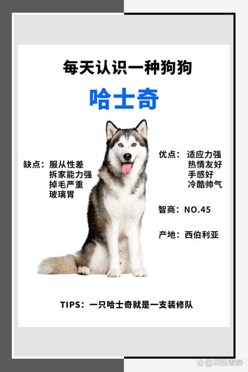 哈士奇最旺三个名字