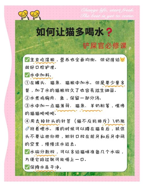 猫咪一天喝水多少合适