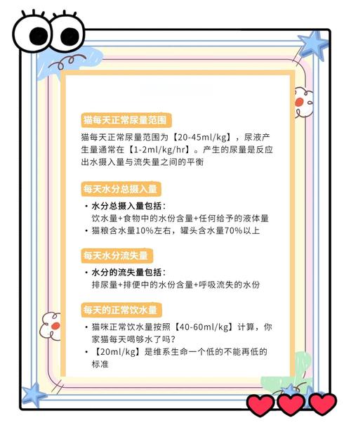 猫咪一天喝多少水是正常?