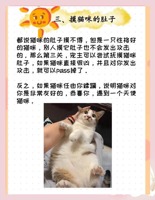 从猫爪垫就能看出猫咪的性格?别不信,还挺准的