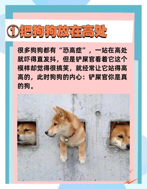 “怕”你的狗狗,才有7种表现,藏不住!