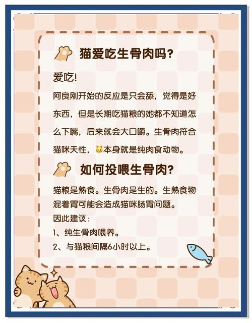 排骨怎么做才能喂给猫咪吃?