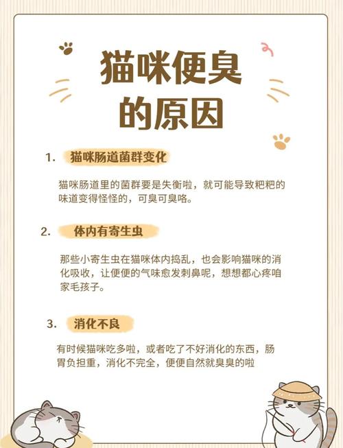 猫咪拉粑粑特别臭