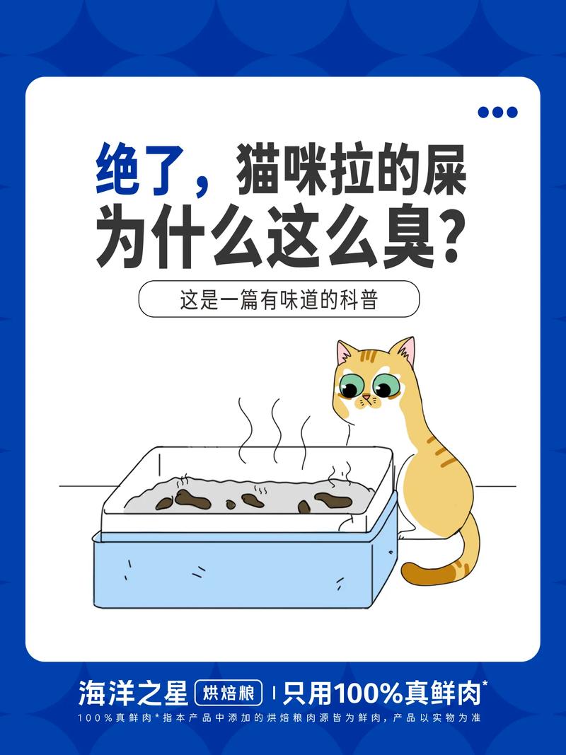 为什么猫咪粑粑拉得多臭