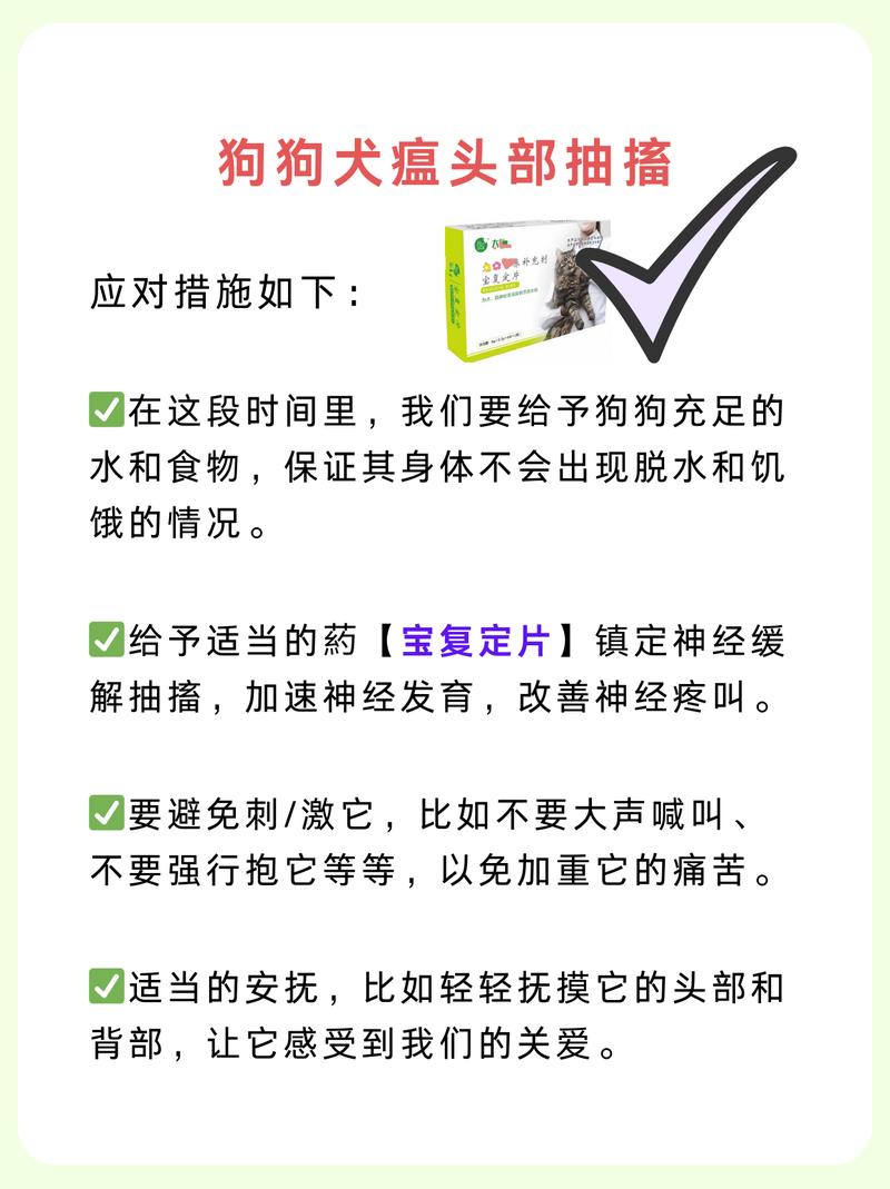狗狗犬瘟抽搐怎么治疗
