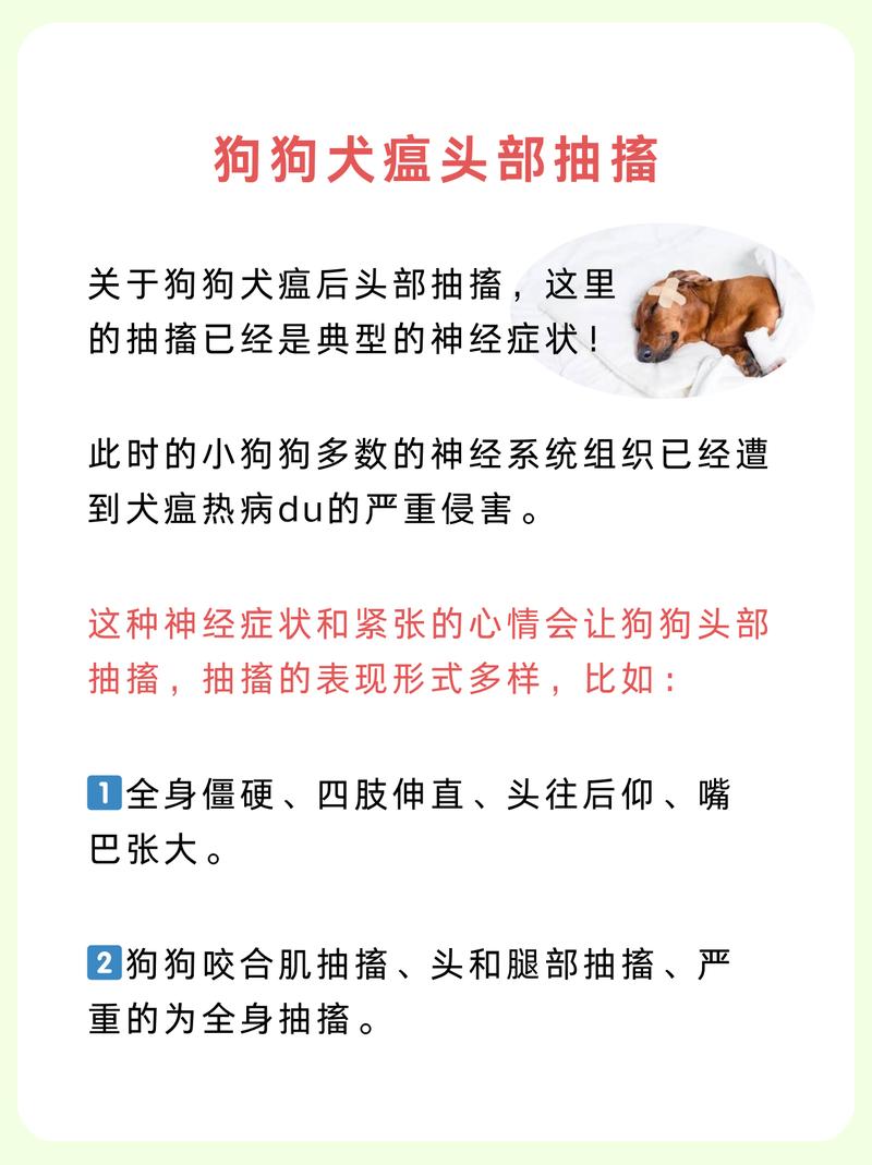 狗狗神经性犬瘟抽搐吃什么药