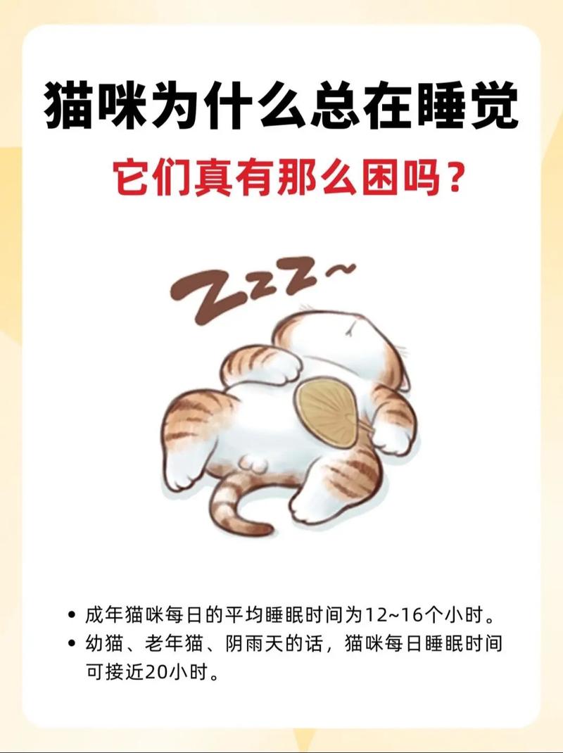 小猫能吃能喝就是整天睡觉怎么回事