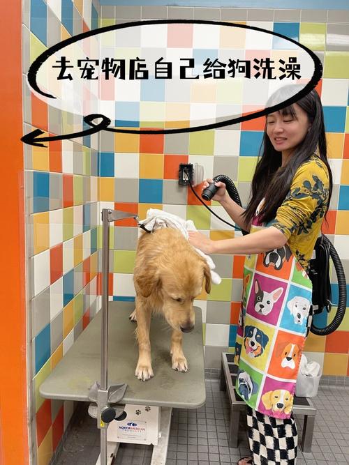 在宠物店给狗狗洗一次澡大概多少钱?