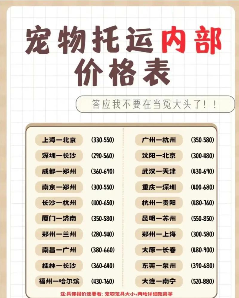 猫咪托运一般需要多少钱?