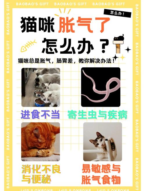 猫咪吃太多肚子胀气怎么办?