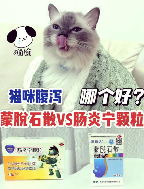 猫咪拉肚子吃什么药效果最快