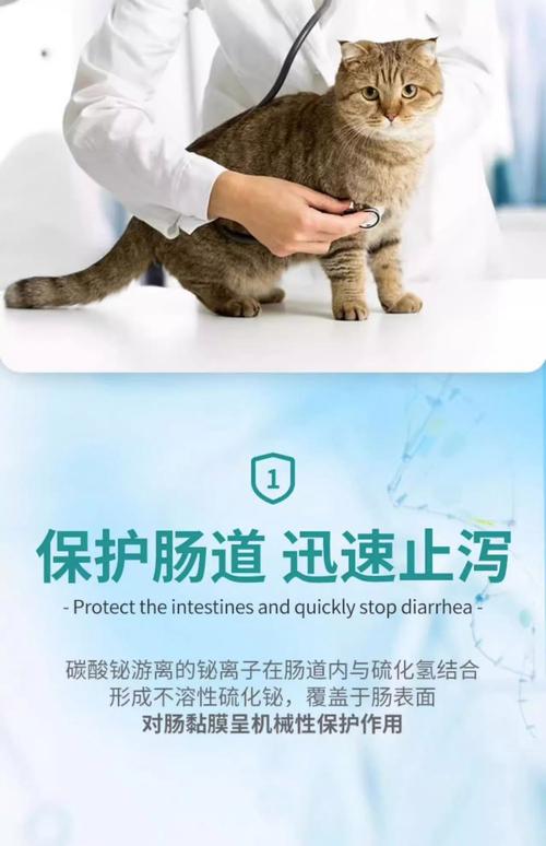 猫一般拉肚子不吃饭是得什么病