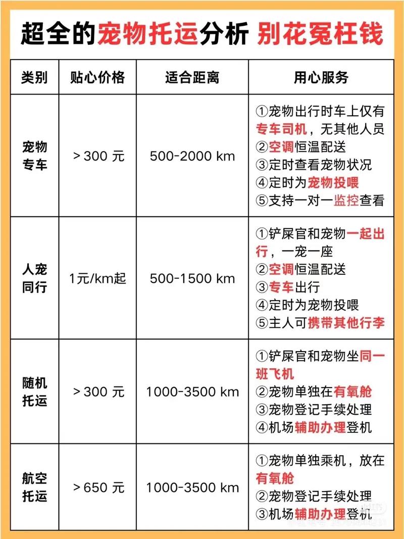 坐飞机带猫咪托运一般需要多少钱
