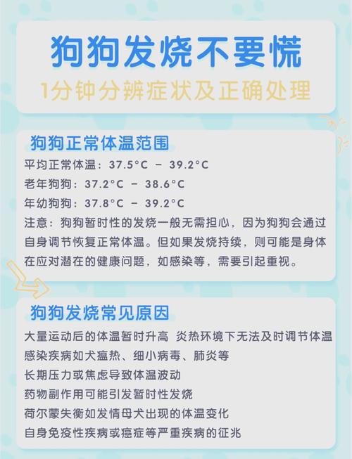 金毛发烧症状有哪些