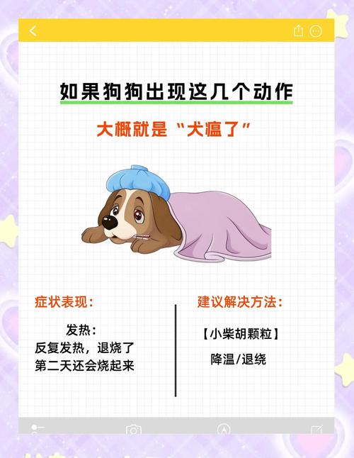 狗狗发烧有什么症状