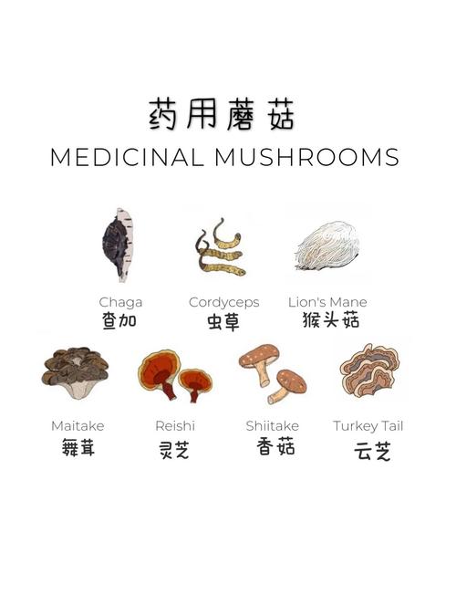 狗狗为什么不吃蘑菇