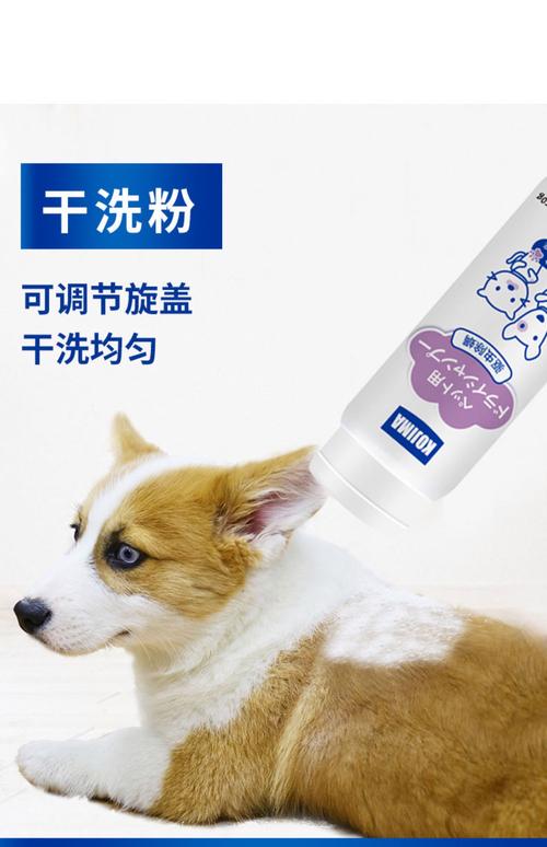 狗狗毛发变白怎么办?