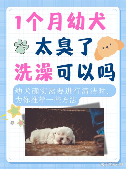 狗打疫苗前能不能洗澡