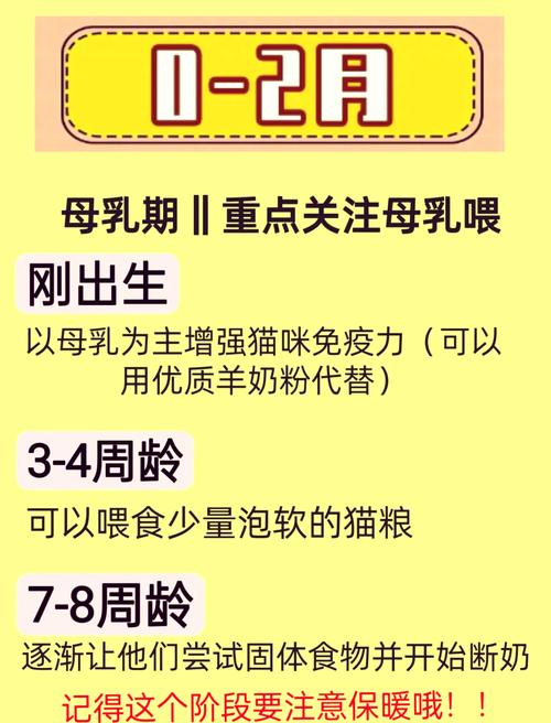 怎么给猫咪断奶