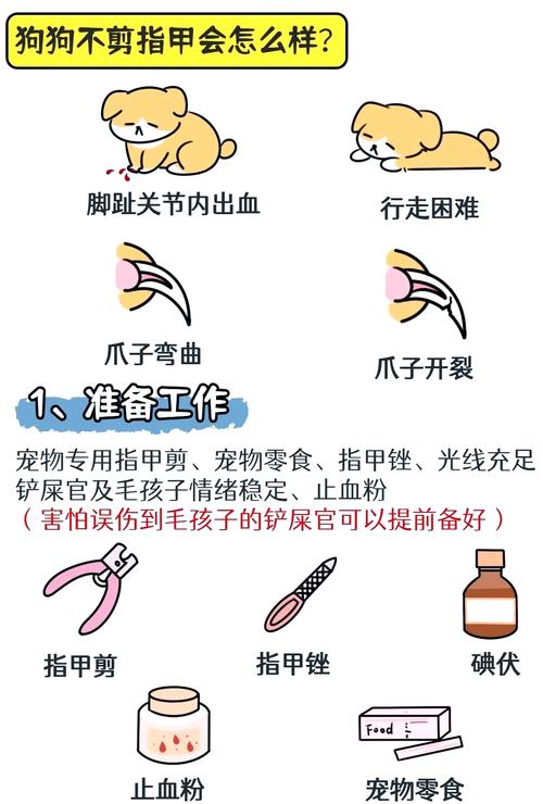 养一只宠物狗狗每年要花多少钱?