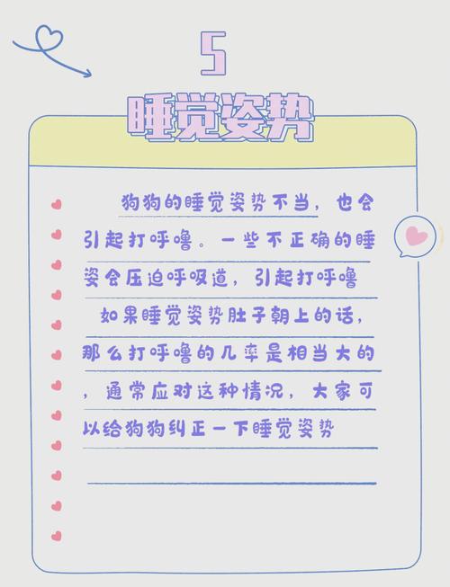 狗狗睡觉打呼噜的原因有哪些?