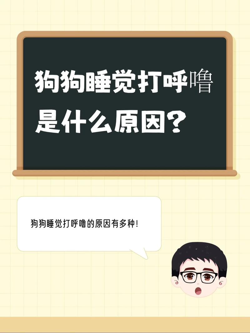 为什么摸狗狗狗狗会打呼噜