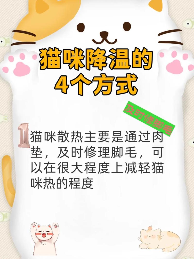 猫咪为什么怕冷