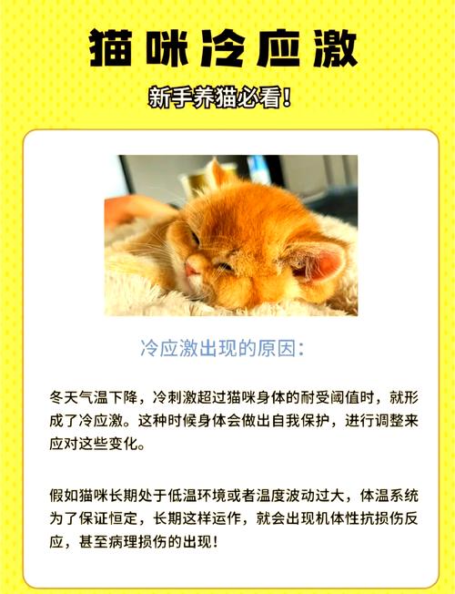 猫咪突然感觉怕冷了为什么