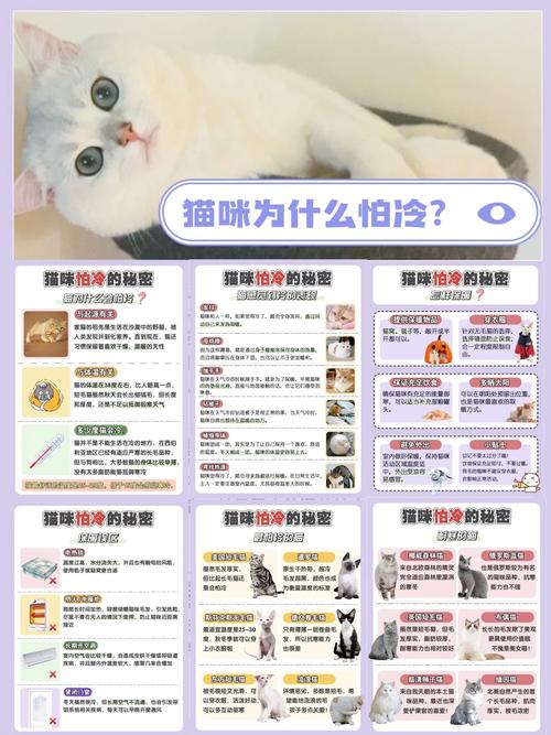 为什么猫比狗怕冷