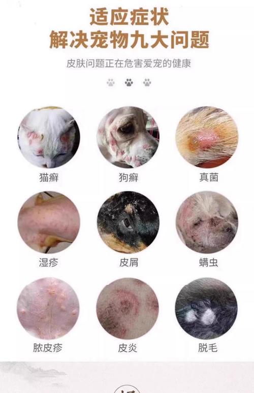 狗狗皮肤病可以洗澡吗