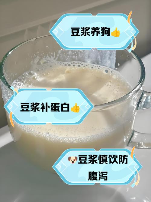 为什么狗狗不能喝豆浆
